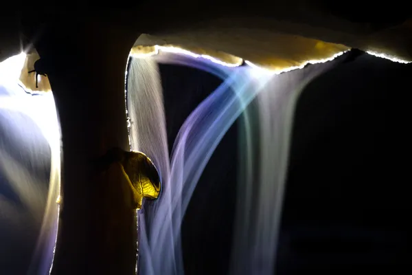 Sporing Party thumbnail