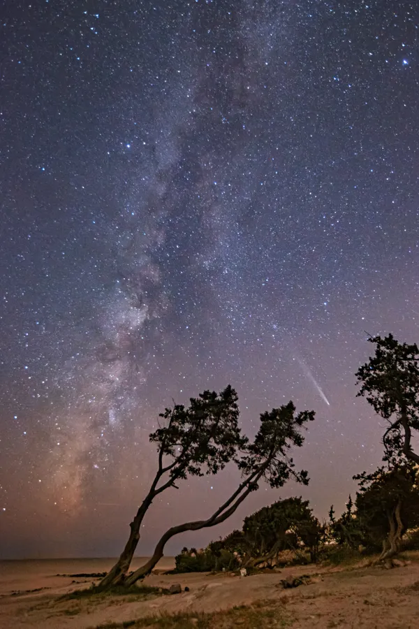 comet, milky way and trees. thumbnail