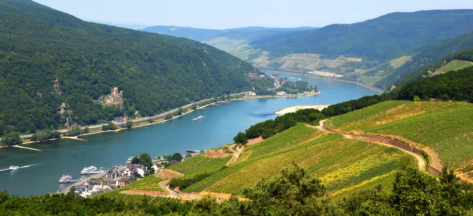  The medieval town of Rüdesheim, located along the Rhine 