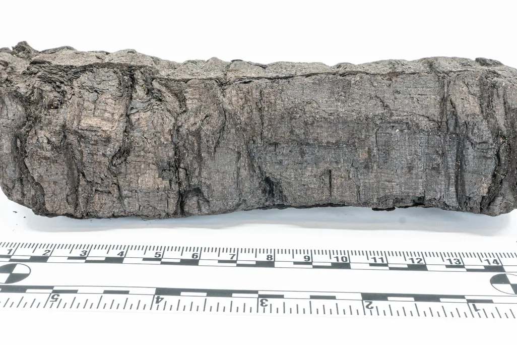 Charred scroll in front of measuring stick