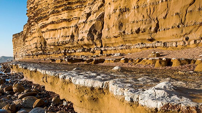 The Real Jurassic Park: Geology field course along the south coast of  England (TESC 417)