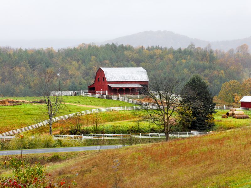 Virginia FarmI found this beautiful farm while traveling the back