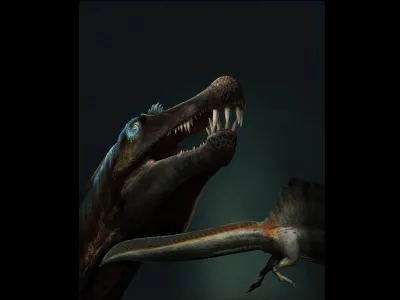 Artist's interpretation of a toothy Spinosaurus.