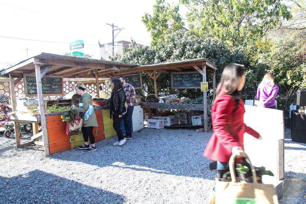 Inner-City Farmers May Have Toxic Soil on Their Hands