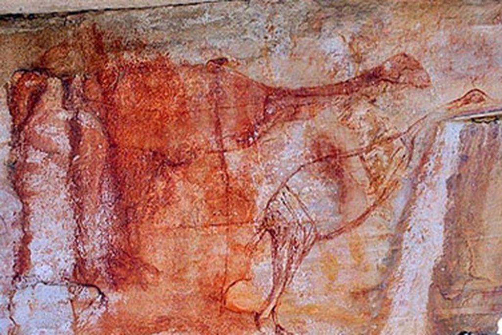 extinct-bird-human-evolution-australia.jpg