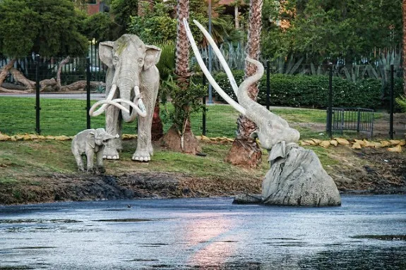 A fake mastodon fights for survival in a display at the La Brea tar pits.