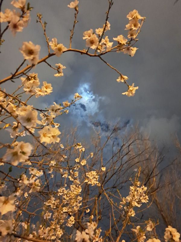 The Moon and the Spring thumbnail