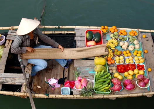 Along the Mekong: Charms of Vietnam and Cambodia