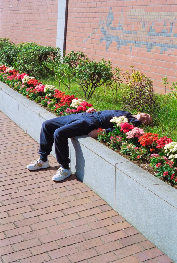 A man resting in a flower bed in Japan. thumbnail