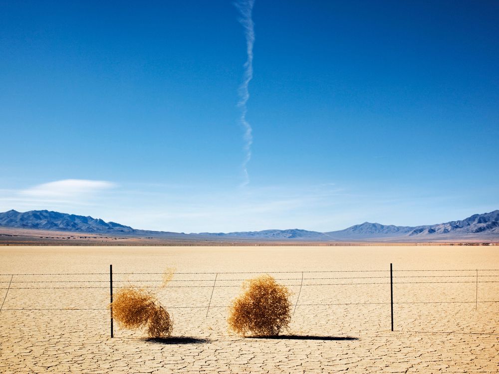 Goodbye tumbleweeds? USDA launches extinction plan