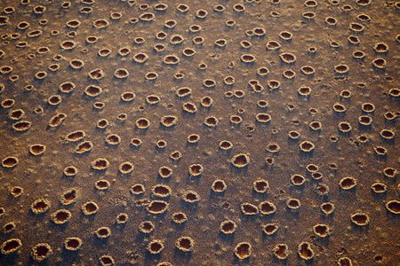 Fairy circles in Namibia. 