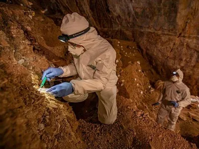 From soil samples, researchers found urine droplets and fecal material that belonged to Upper Paleolithic bears that used the Chiquihuite Cave as their shelter and toilet 16,000 years ago.