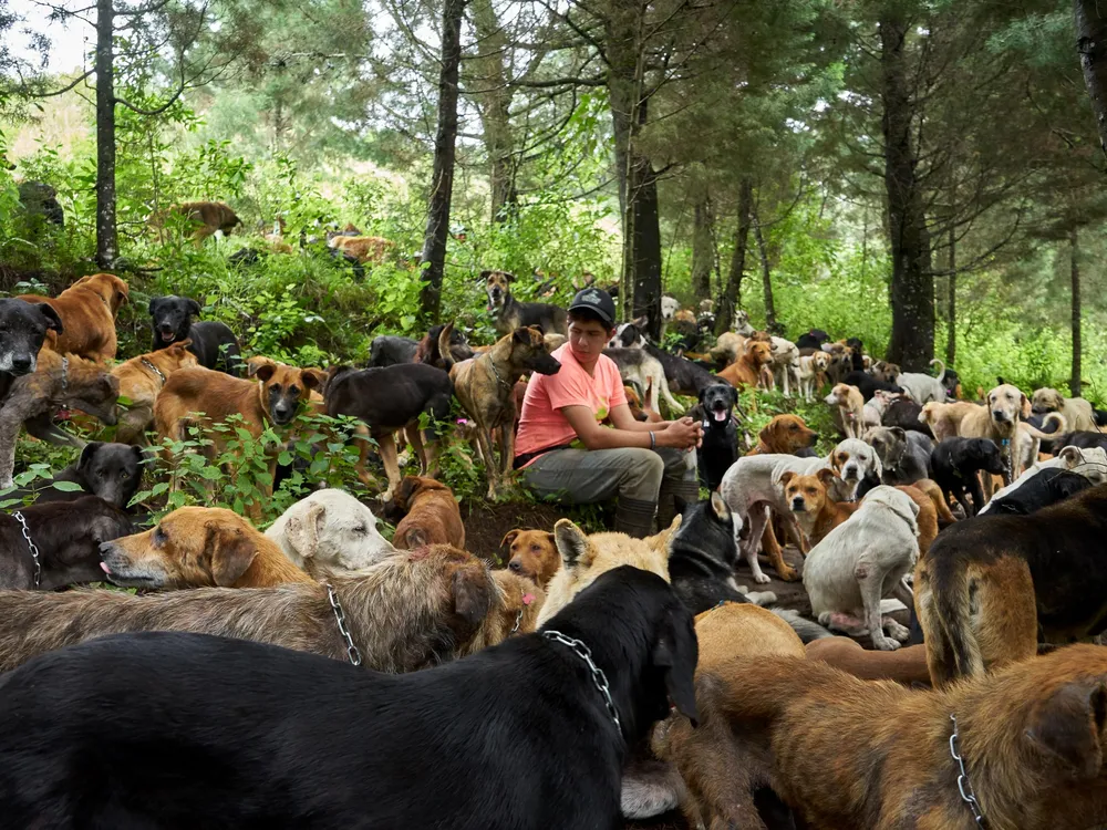 Traveling to Costa Rica With a Dog: Ultimate Guide for Pet Owners
