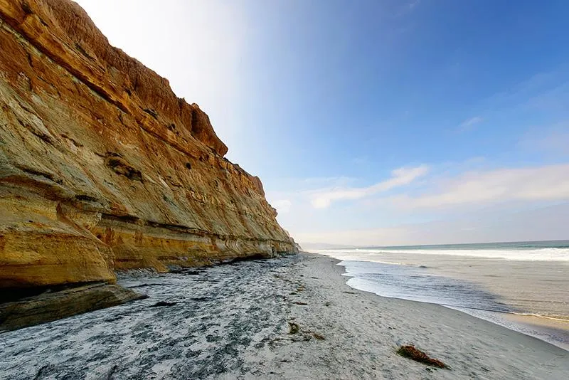 Torrey Pines.jpg