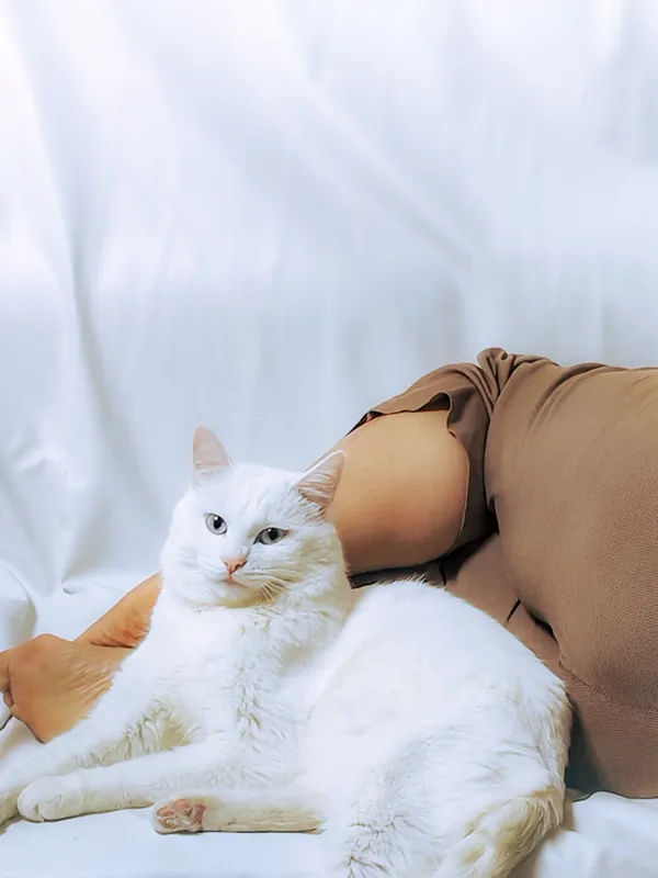 A cat and a human-1 thumbnail