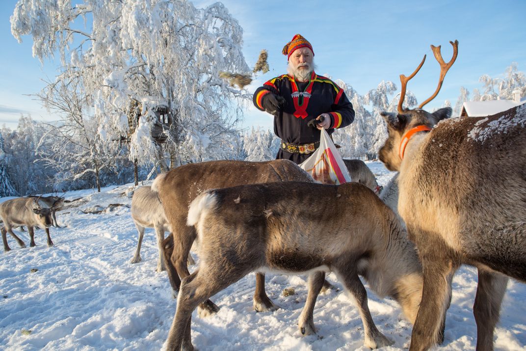 Feeding Time at the Reindeer Farm | Smithsonian Photo Contest ...