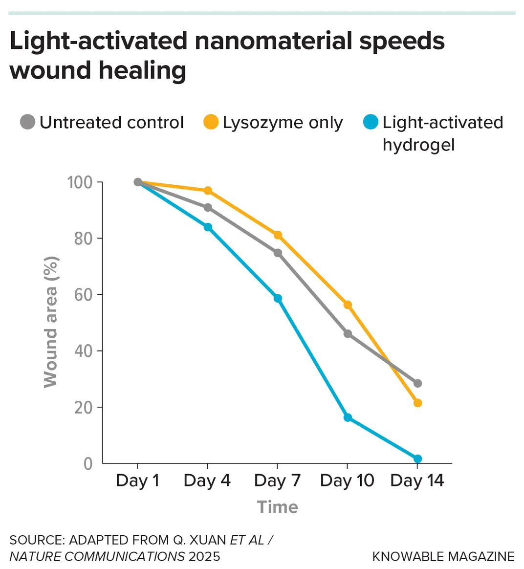 Scientists Are Using Nanomaterials to Heal Stubborn Wounds That Resist Antibiotic Treatment