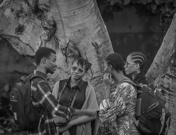 The New Council thumbnail