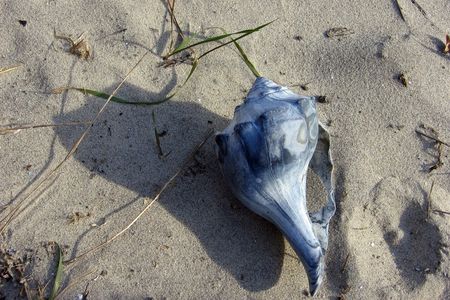 Please look but don't take. 