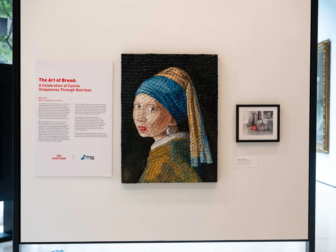 Girl With a Pearl Earring rendered in kibble