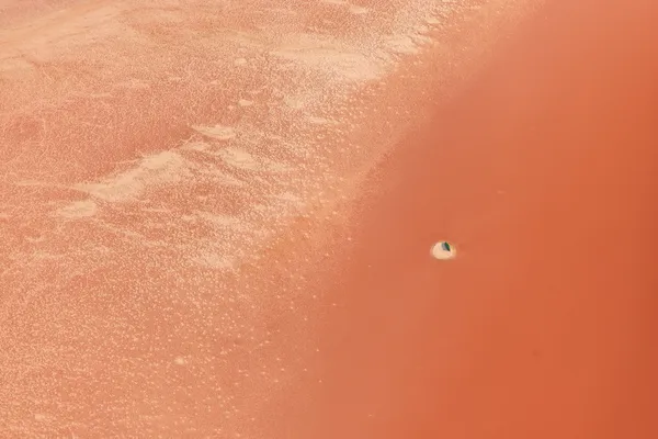 The lost boat thumbnail