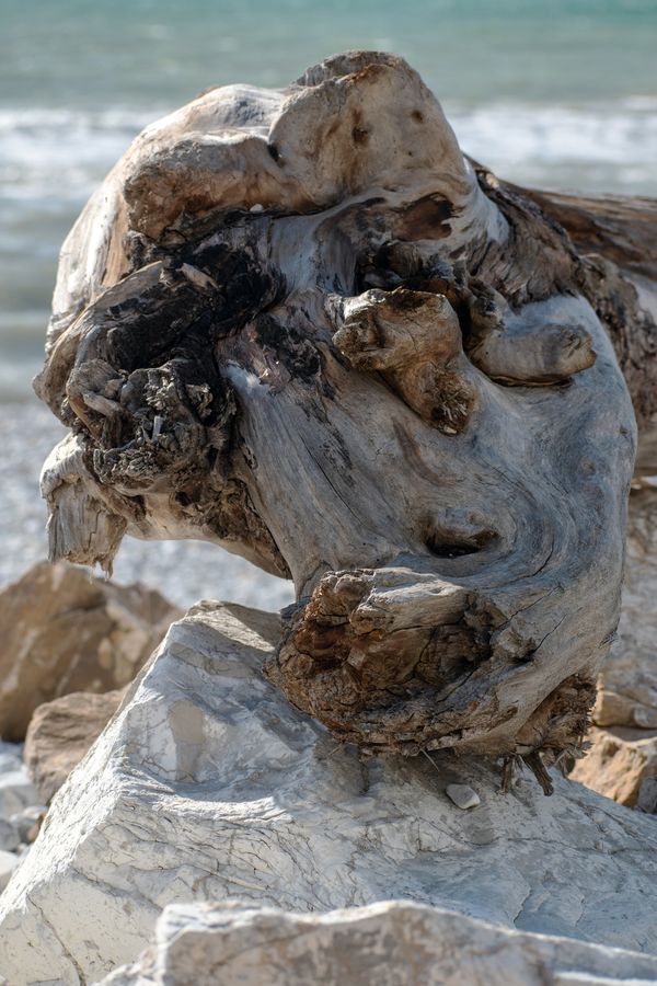 Wooden horse thumbnail