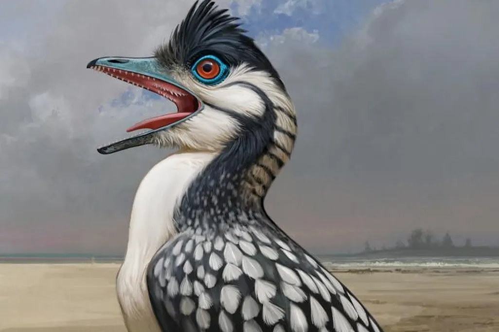 a reconstruction of a bird-like dinosaur
