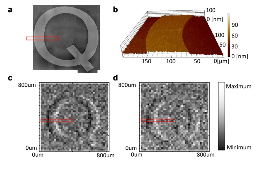 Quantum Microscope