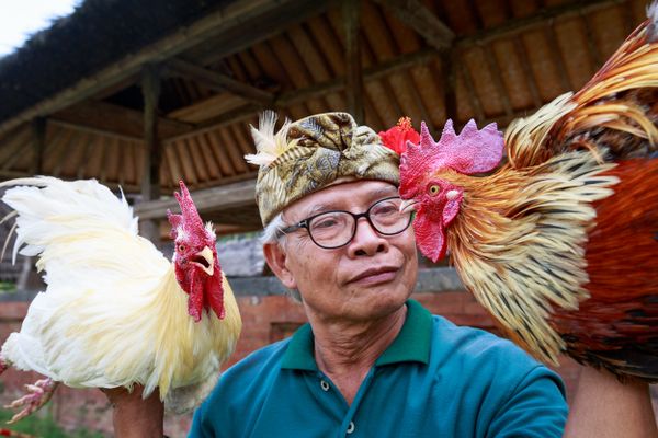 The Keeper of the Roosters thumbnail