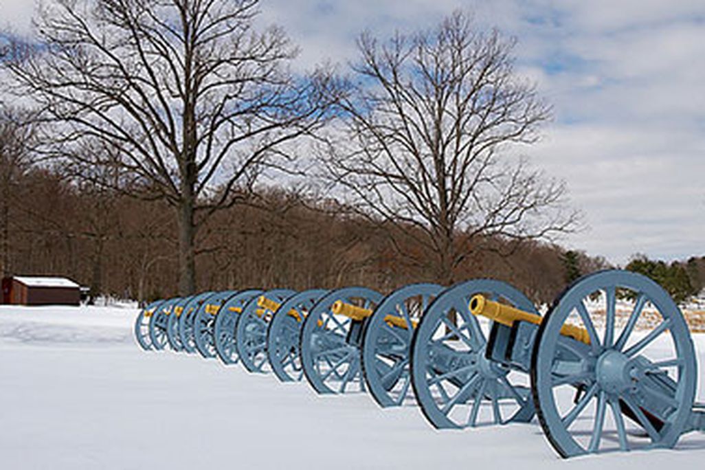 Cannons at Valley Forge