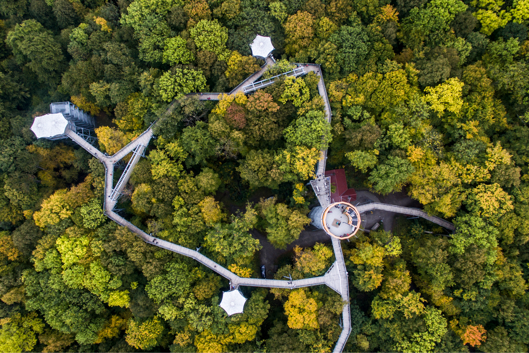 If Germany’s Nature Could Speak, This Is What It Might Say