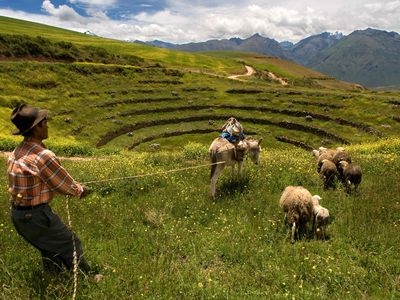 Stone steps descend as far as 500 feet into the Moray concentric agriculture terraces near Maras, Peru, crossing a temperature differential of some 60 degrees. Ancient innovators may have domesticated and hybridized plant species here, using temperature ranges to simulate conditions found across the far-flung Inca Empire.