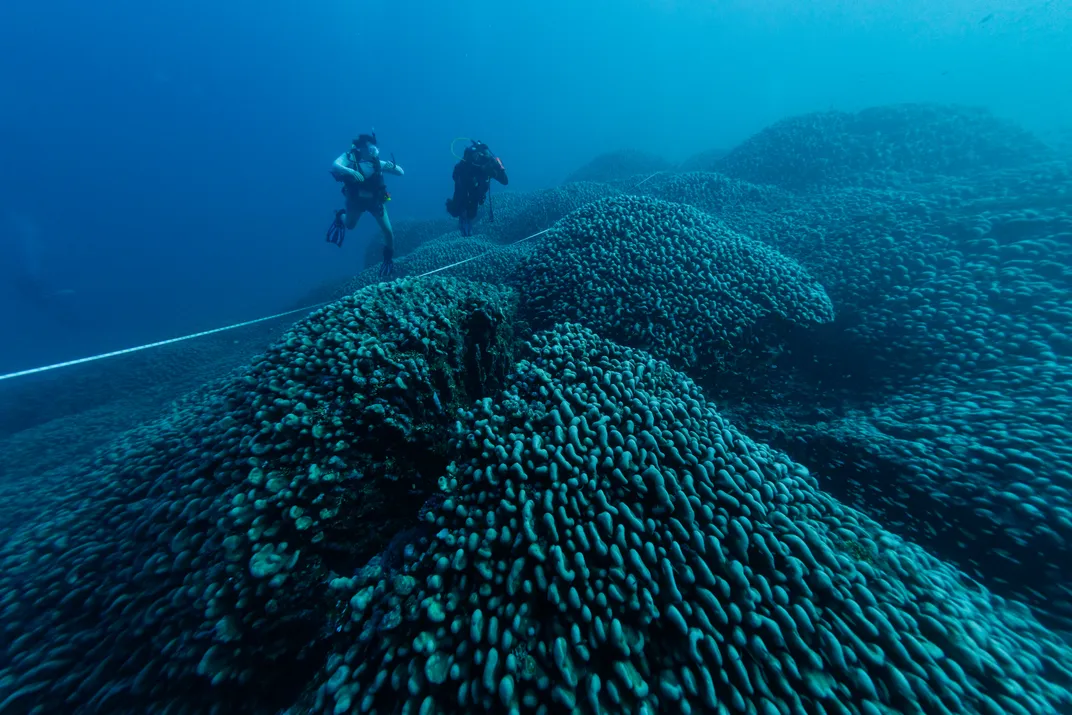 Underwater scene of divers using a tape measure