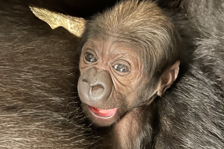 baby-closeup.png