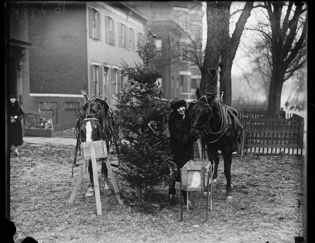 A 1927 or 1928 photo of horses enjoying treats at a Christmas party
