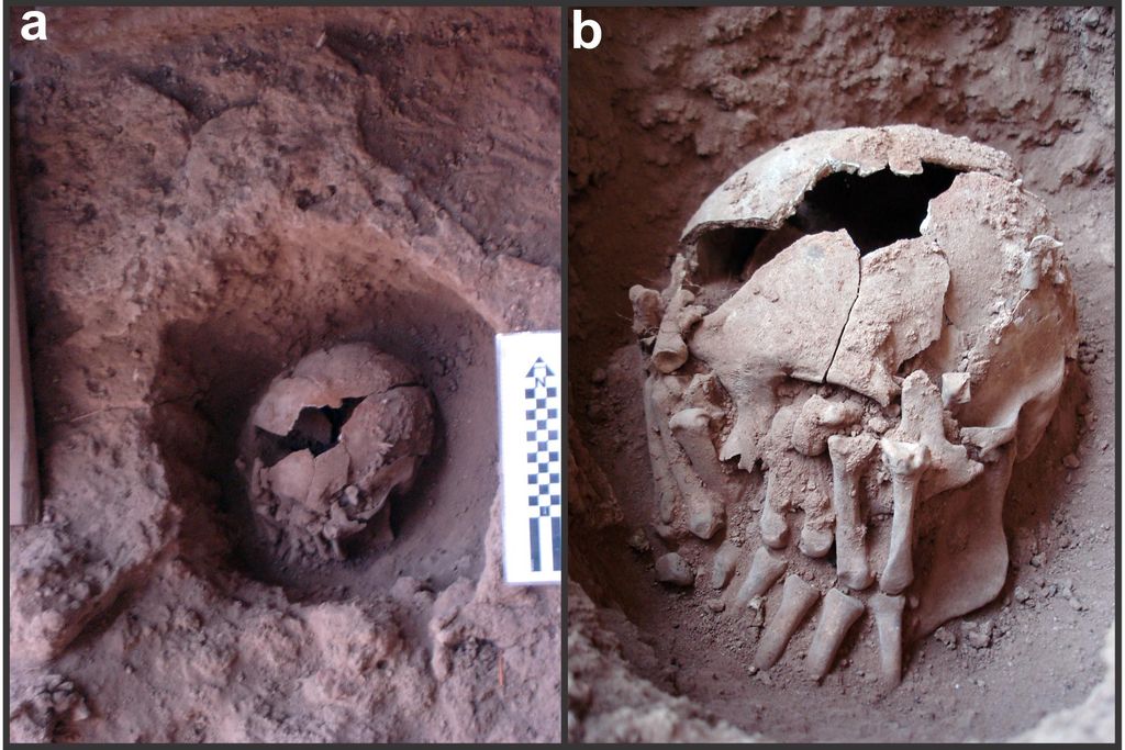 Old Skull.jpg