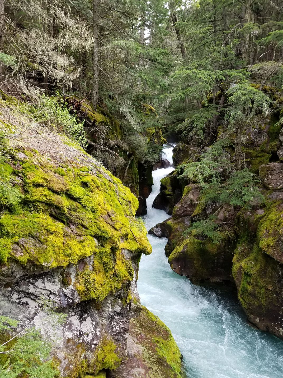 Waterfall in Glacier National Park | Smithsonian Photo Contest ...