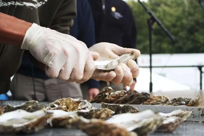 Courtesy of the Wellfleet Oyster Festival