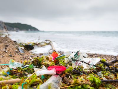 Ocean Legacy has a task not even Sisyphean would envy: picking up, sorting and recycling the vast amount of plastic that ends up on our shores.