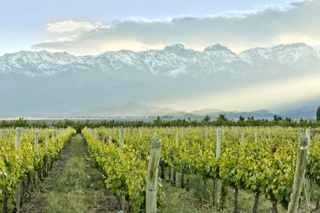 Mendoza, Argentina. 