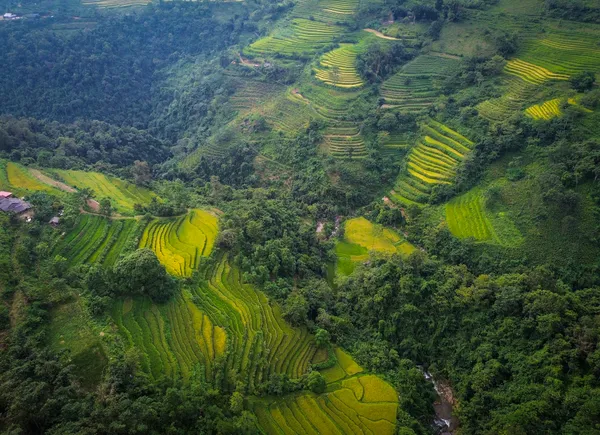 Rice Terraces of Cao Bang thumbnail