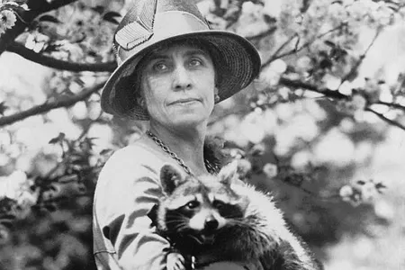 First Lady Grace Coolidge and Rebecca, the raccoon she and her family kept as a pet