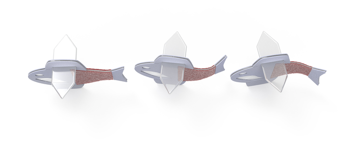 Three engineered fish, showing their movements