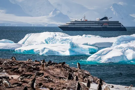 Ocean cruiseliner passing by the coast of Antarctica and a large gathering of penguins visible on shore