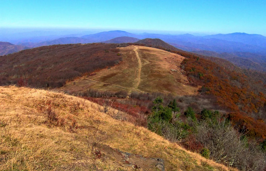 View from summit of Big Bald