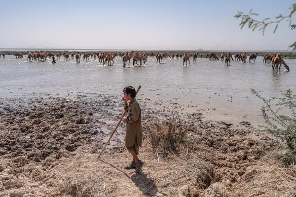 THE GUARDIANS OF BANNI thumbnail