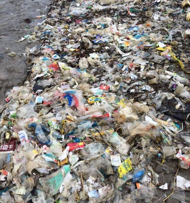 Hong Kong Trash