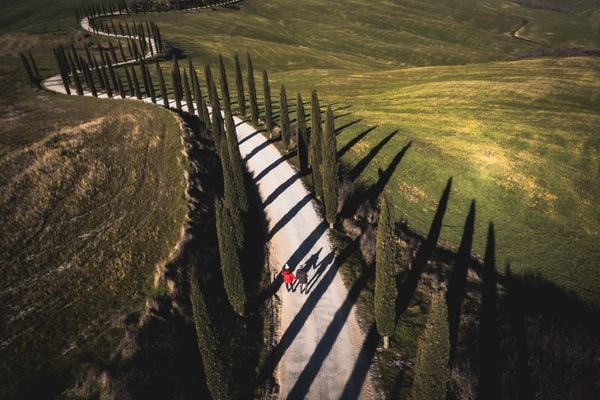 Leading lines into the Tuscan landscape thumbnail