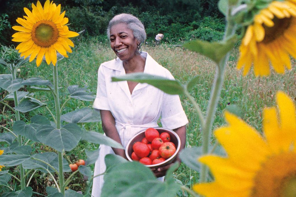 A Black women in a white outfit surrounded by tall yellow sunflowers holds a basket of tomatoes