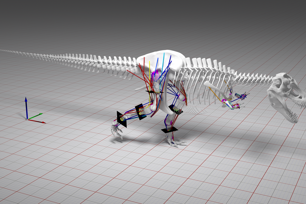 T-rex Model